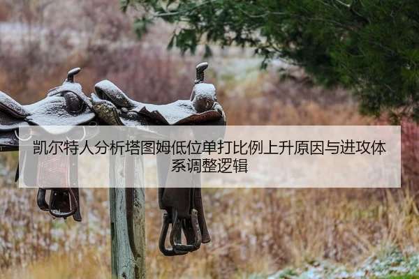 凯尔特人分析塔图姆低位单打比例上升原因与进攻体系调整逻辑 | c7c7·app